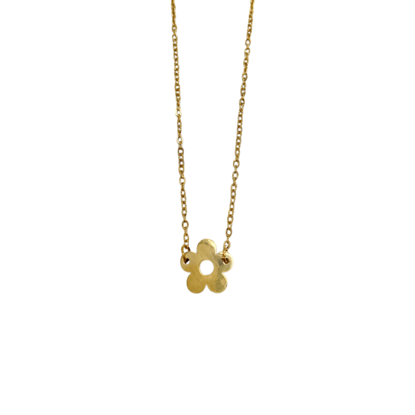 COLLAR FINITO CON DIJE FLOR LISA AC DOR