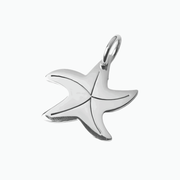 DIJE ESTRELLA DE MAR