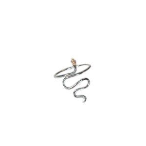 ANILLO VICHA LISO