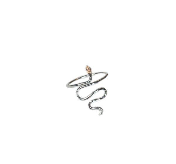 ANILLO VICHA LISO