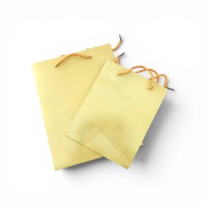 BOLSA CARTON SIMPLE CHICA