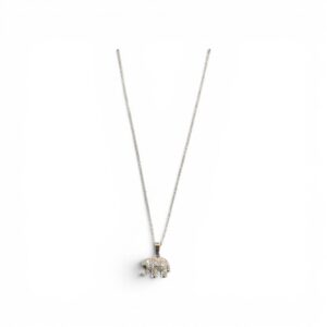 COLLAR  ELEFANTE MICROPAVE